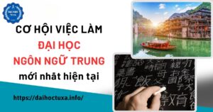 Cơ hội việc làm Đại học Ngôn ngữ Trung mới nhất hiện tại