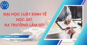 Đại học Luật kinh tế học gì? Ra trường làm gì?