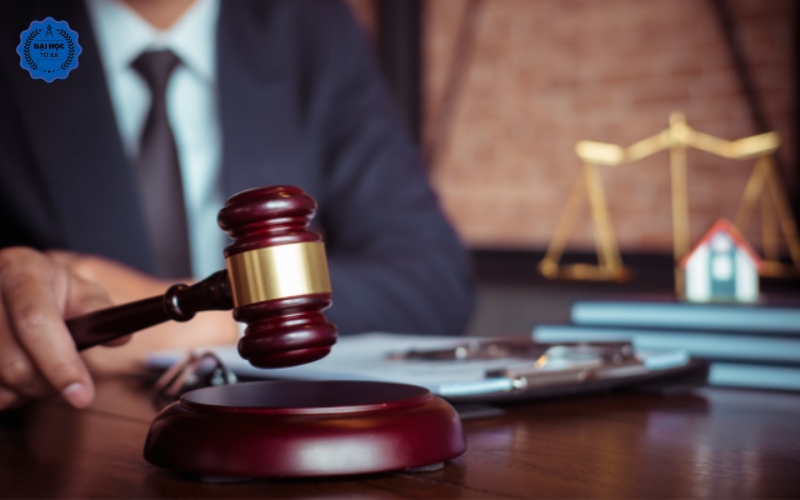 Đại học Luật kinh tế học những gì?