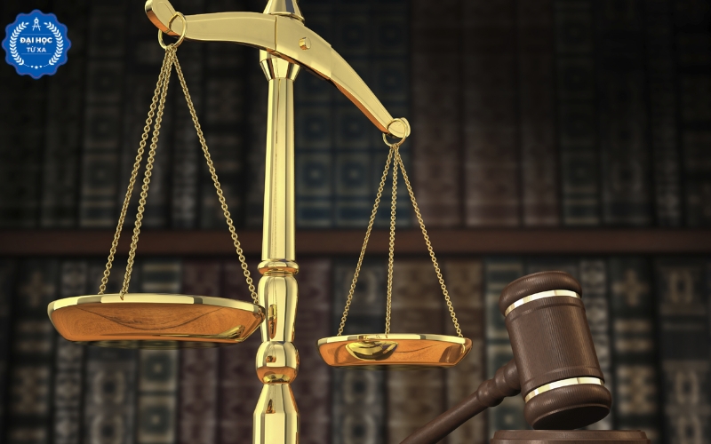 Đại học Luật kinh tế xét tuyển những tổ hợp môn nào?