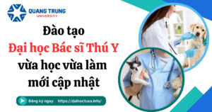 Đào tạo Đại học Bác sĩ Thú Y vừa học vừa làm mới cập nhật