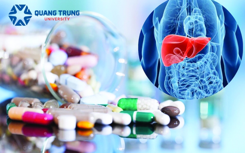 Giới thiệu về ngành Đại học Dược