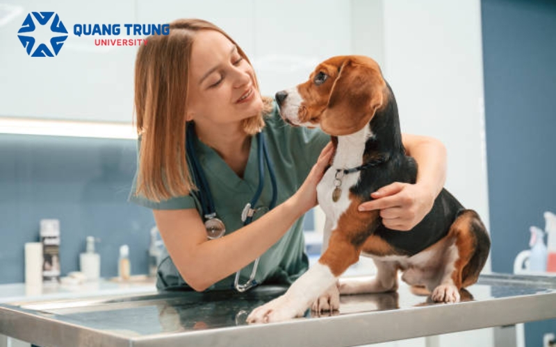 Học Đại học Bác sĩ thú y có khó không?