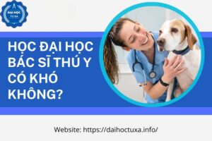 Học Đại học Bác sĩ thú y có khó không?