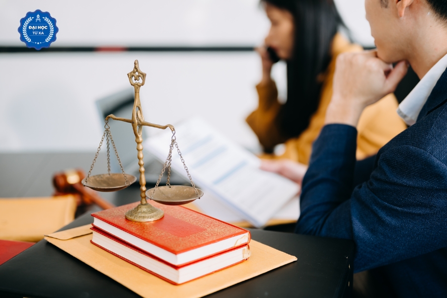 Học Đại học Luật kinh tế là gì? 