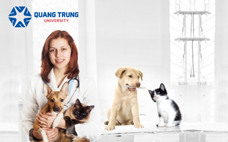 Lợi ích khi học Bác sĩ Thú Y vừa học vừa làm là gì?
