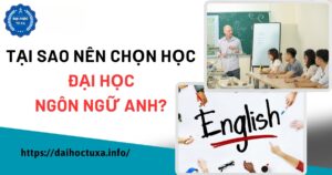 Tại sao nên chọn học Đại học Ngôn ngữ Anh?