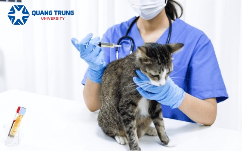 Thông tin tuyển sinh Đại học Bác sĩ thú y