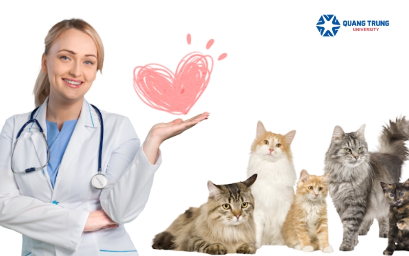 Điều kiện để đăng ký học Văn bằng 2 Đại học Thú Y