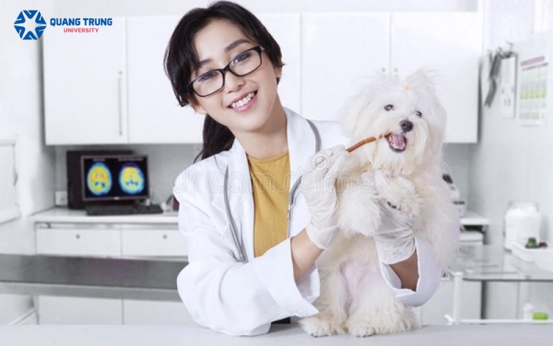 Giới thiệu Văn bằng 2 Đại học Thú Y