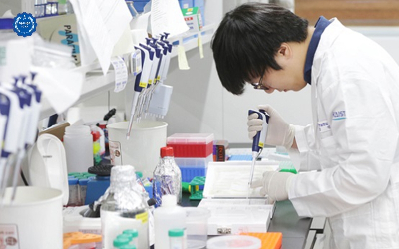 Công việc sau khi tốt nghiệp Đại học Dược sĩ trực tuyến