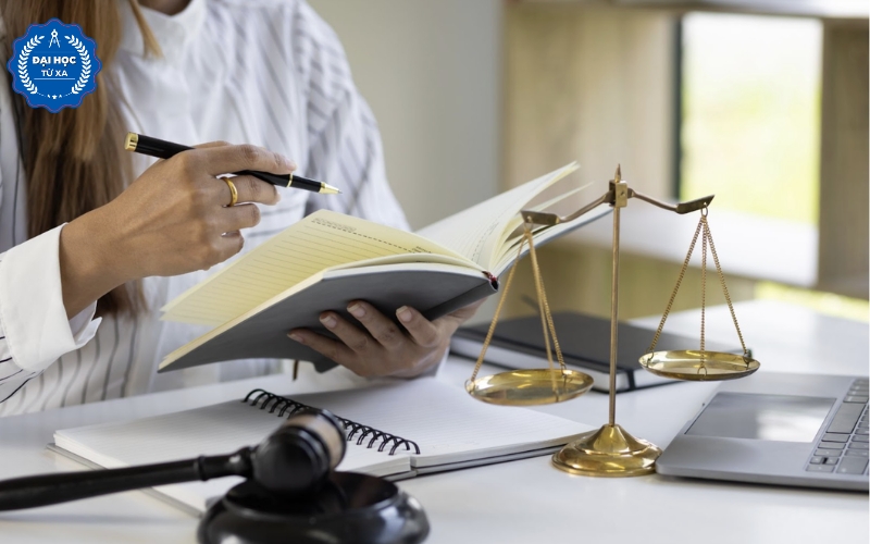 Đại học Luật kinh tế chính quy được học những môn gì?