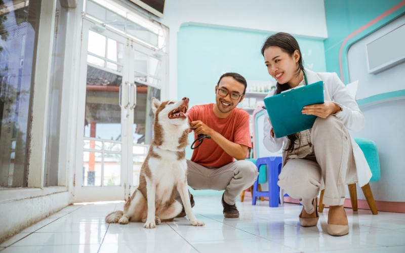 Chương trình đào tạo Cao đẳng Thú y