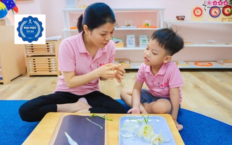 Thông tin tuyển sinh Cao đẳng Giáo dục mầm non