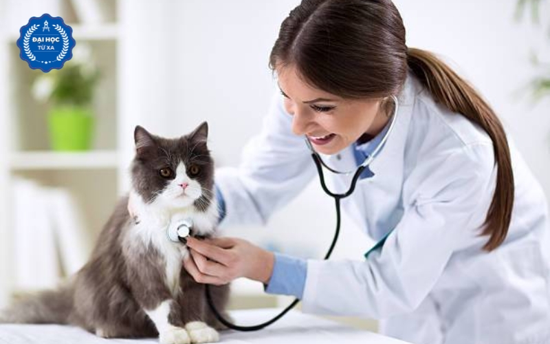 Ai phù hợp để học Đại học Bác sĩ Thú y chính quy