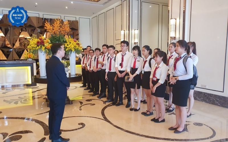 Cơ hội việc làm Đại học Quản trị khách sạn nhà hàng sau khi ra trường