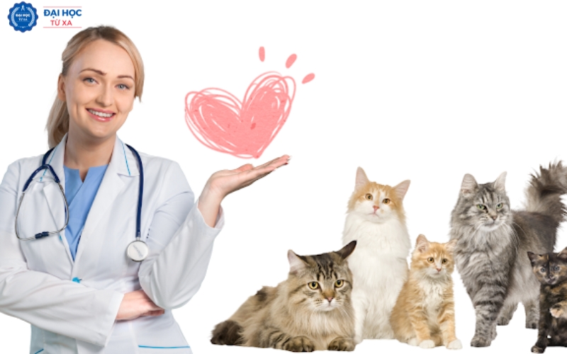 Cơ hội phát triển cho Đại học Bác sĩ Thú y online