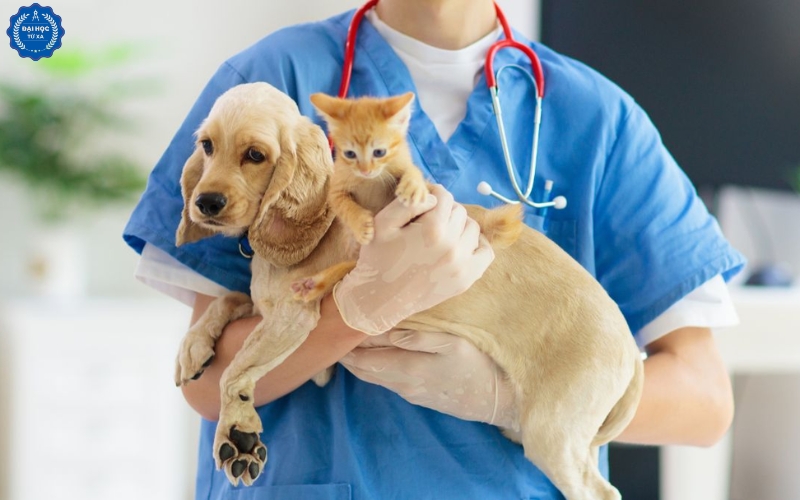 Bạn có phù hợp với Đại học Bác sĩ Thú y Từ xa