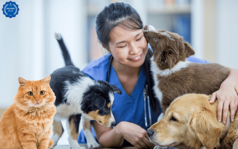 Cơ hội phát triển dành cho Đại học Bác sĩ Thú y Từ xa sau khi tốt nghiệp