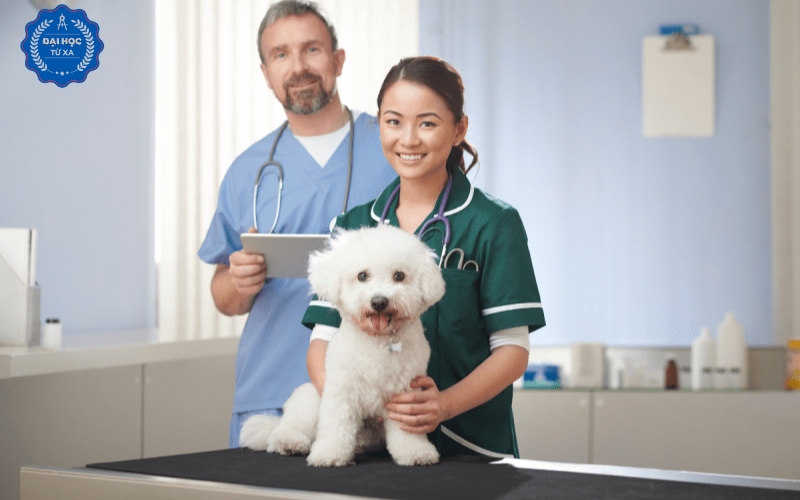 Những lưu ý khi chọn trường học Liên thông online ngành Bác sĩ Thú y