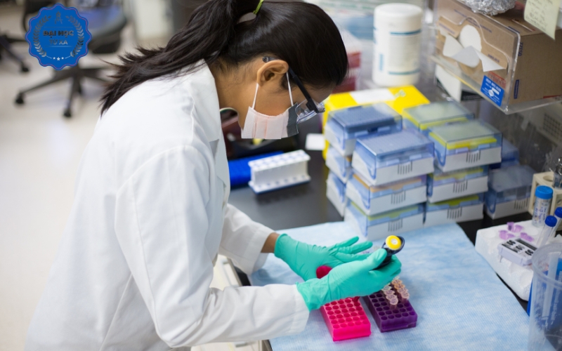 Thời gian học Đại học Y tế công cộng Văn bằng 2 bao lâu?