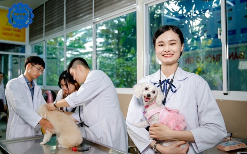 Bằng cấp khi Học online Liên thông Đại học Thú y mang lại giá trị gì?