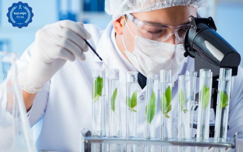 Hình thức đào tạo Đại học Công nghệ sinh học Từ xa