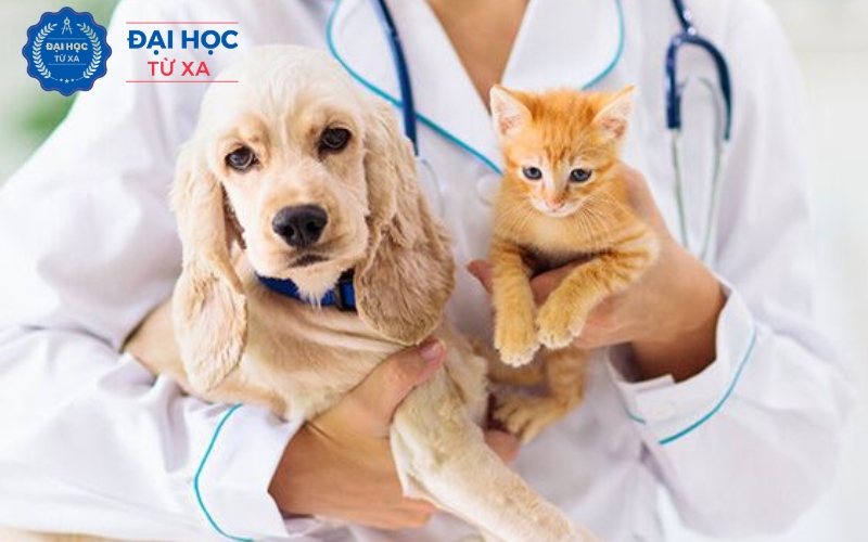 Trường đào tạo Liên thông ngành Bác sĩ Thú y uy tín nhất