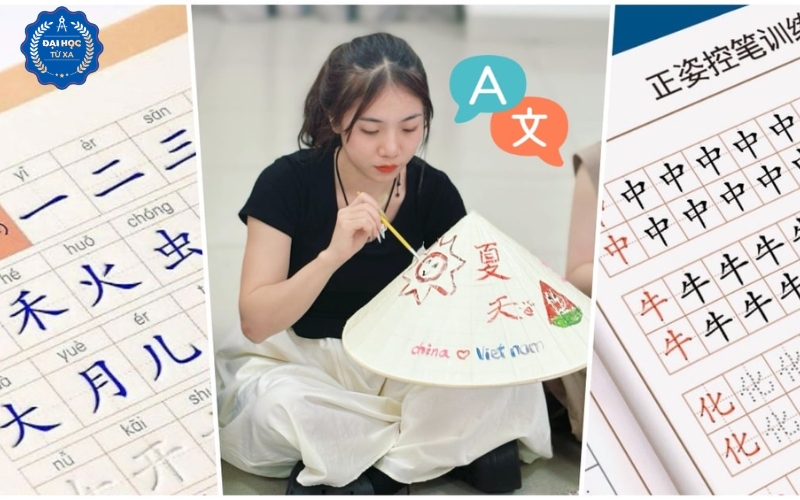 Học Liên thông ngành Ngôn ngữ Trung ở đâu uy tín?