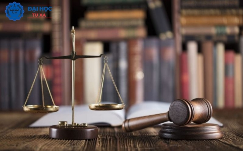 Tốt nghiệp ngành Luật kinh tế rồi đi làm ở đâu?