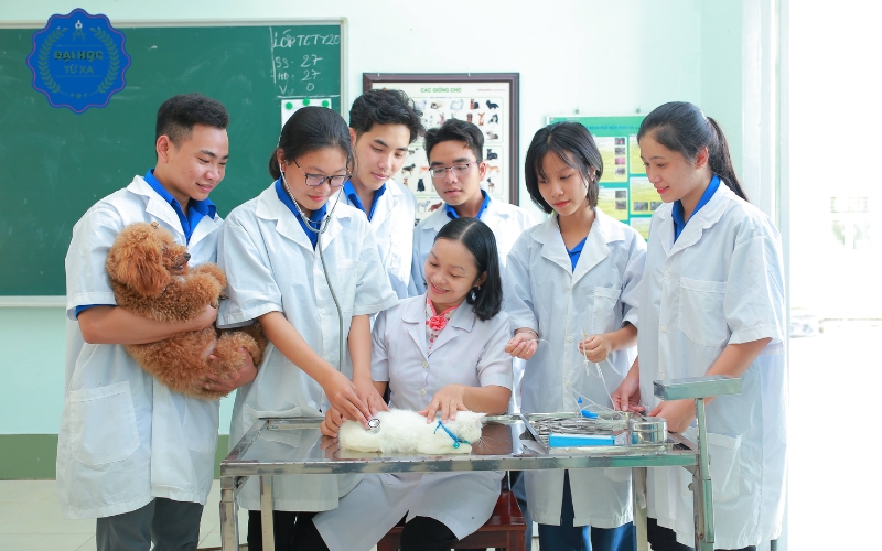 Ai có thể đăng ký học Liên thông Đại học Thú y hệ Từ xa?