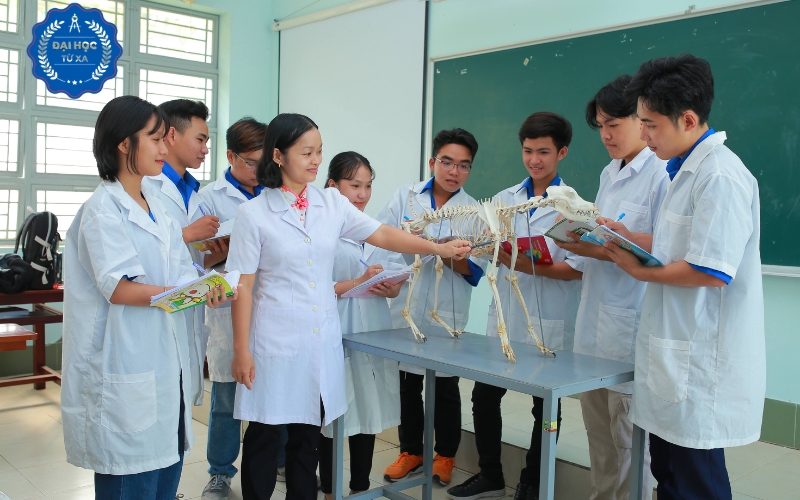 Học phí Liên thông Đại học Thú y hệ Từ xa bao nhiêu?